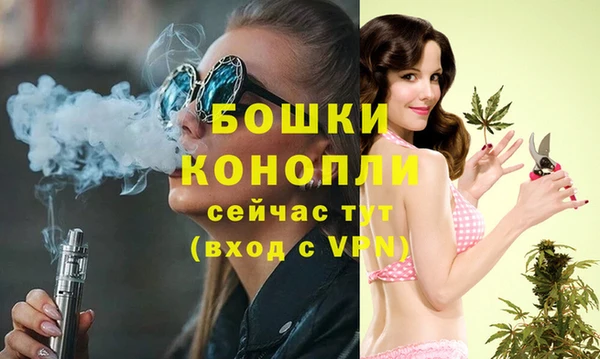 винт Армянск