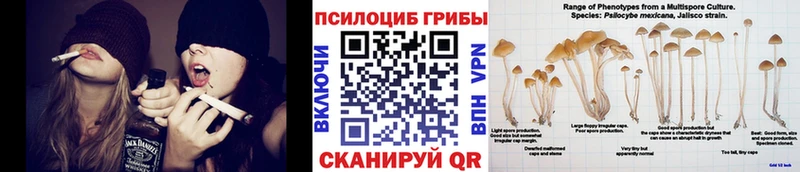 Галлюциногенные грибы мицелий  Медвежьегорск 